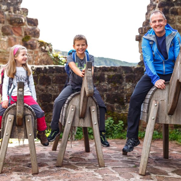 ev-0123-su-dwestpfalz-touristik-02