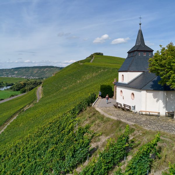 Foto: Andreas Scholer / tonimedia.de