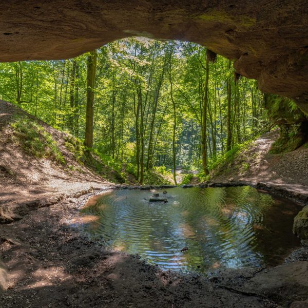 ev-1122-wanderarena-pfa-lzerwald-nordvogesen-02